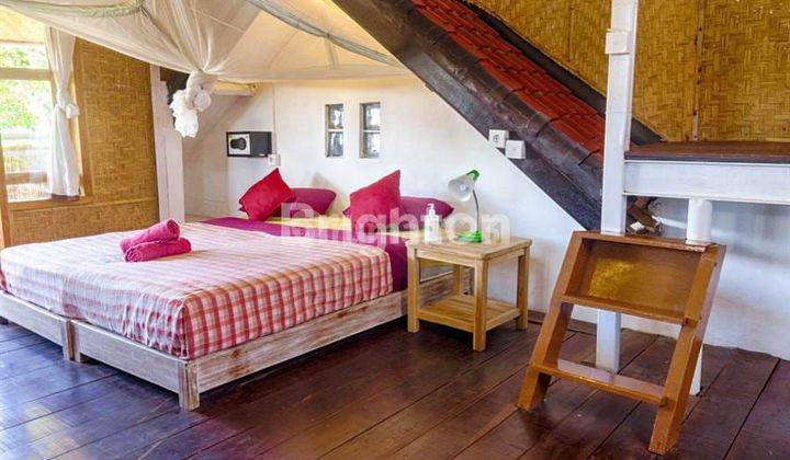 rumah kost bulanan Canggu 6 juta monthly 1BR 1