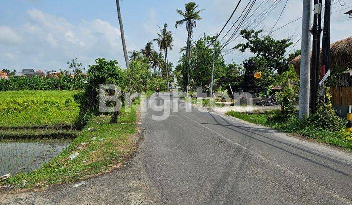 Sewa Ruko Siap Pakai Seseh Area Cocok Retail, Kantor Lokasi Strategis 2