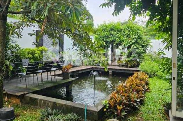 Rumah lux  dijual - kontemporer ,  LT:644M2(20x32),LB:800, SHM, utara, ada kolam ikan koi, gazebo, ruang study, full furnished, Virginia Lagoon, Telaga Golf BSD, Tangerang 2