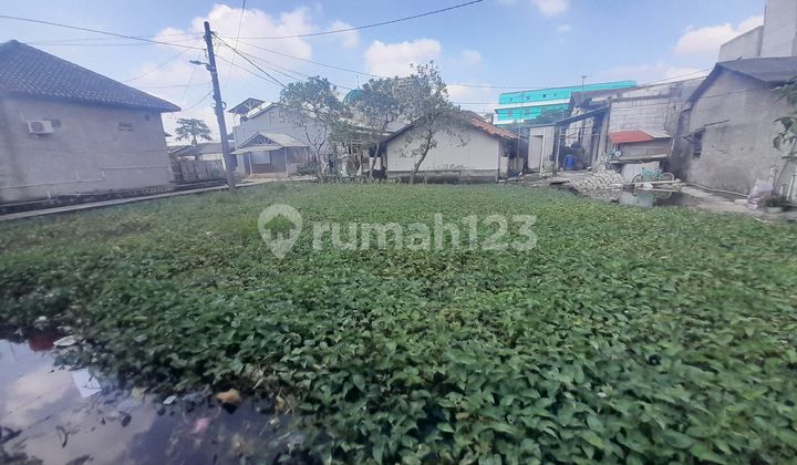 Dijual Tanah di Rorotan Cilincing sebelah Inspeksi BKT Harga jual: 1.053M (nego) Dijual Tanah di Rorotan Cilincing sebelah Inspeksi BKT Harga jual: 1.053M (nego)