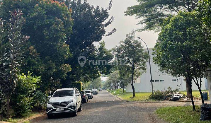 Kavling Ppjb Hadap Utara di Sutera Palma Alam Sutera Serpong 2