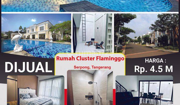 Rumah Murah Cantik Tropical Cluster Flamingo, The Springs Summarecon Serpong, Tangerang 2