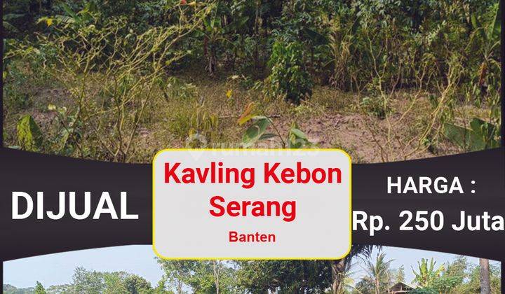 Kavling Murah Dan Terjangkau Kebon Subur Dan Asri Serang, Banten 2