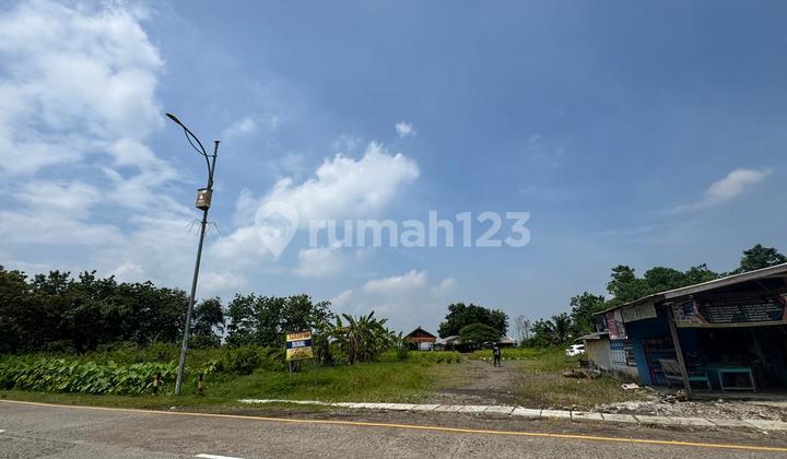 Tanah SHM Lokasi Strategis di Sanca, Gantar, Indramayu