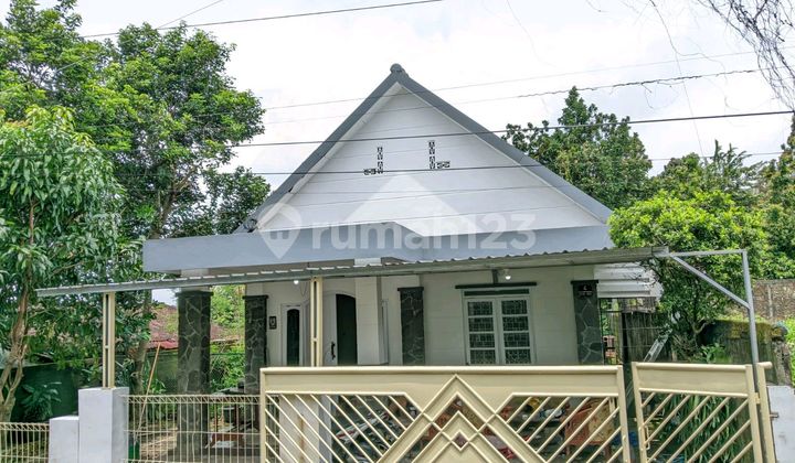 Rental House Suitable for Business and Living 1