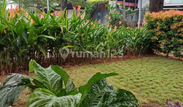 Dijual Rumah Hook Ada Lift, 3 Lantai Dalam Cluster Di Bintaro Jakarta Selatan  2
