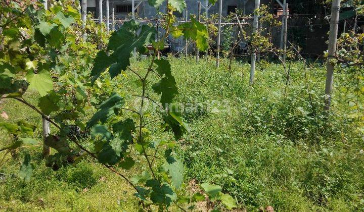 Dijual Cepat Tanah Darat Siap Bangun Lokasi Premium Jl Cut Mutia  1