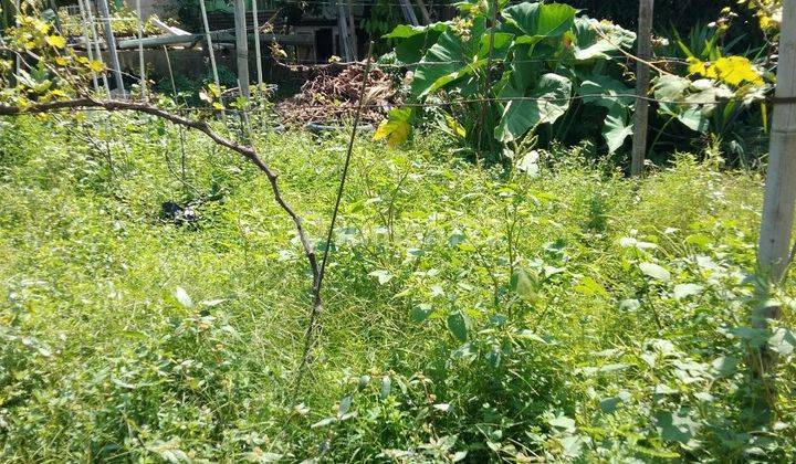 Dijual Cepat Tanah Darat Siap Bangun Lokasi Premium Jl Cut Mutia  2