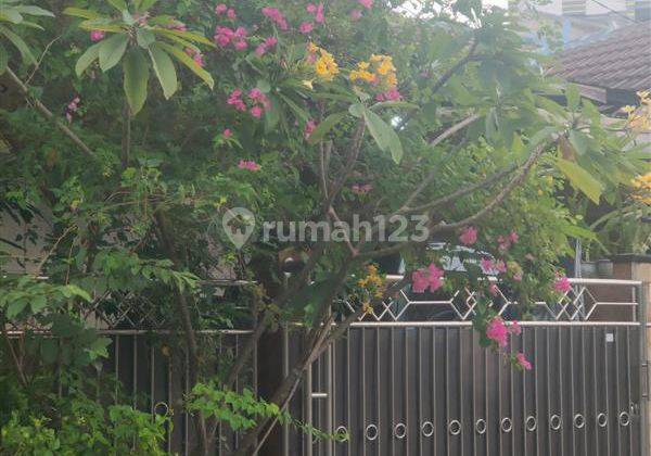 Di Jual Rumah Luas Bonus Toko Di Jati Asih Bekasi Bojong Kulur 2