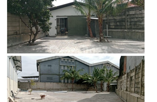 For Rent Ready-to-Use Warehouse Pesing Poglar Daan Mogot For Rent Ready-to-Use Warehouse Pesing Poglar Daan Mogot