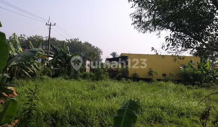 Land for Sale on Jl Raya Pohon Jati, Tigaraksa Tangerang Land for Sale on Jl Raya Pohon Jati, Tigaraksa Tangerang