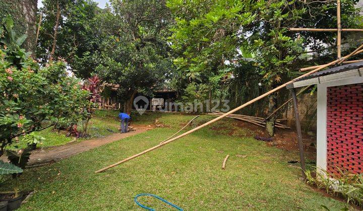 Rumah Dijual Kebun Luas Kuricang Bintaro 2