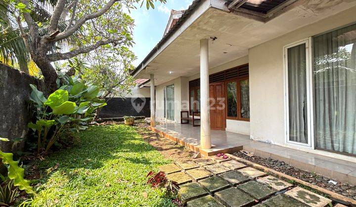 Rumah Hitung Tanah Murah Di Kemang - Jeruk Purut Untuk Usaha 1