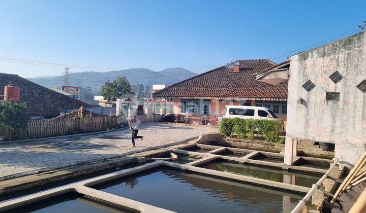 RUMAH ASRI TERAWAT SUAP HUNI DI CIWIDEY 2