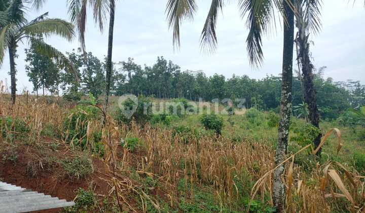 New Parahyangan City