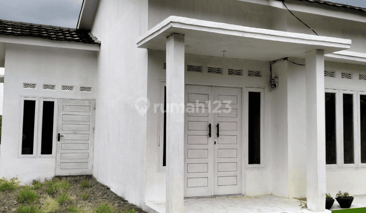 Rumah Minimalis Di Rumbai Bebas Banjir Berbagai Bonus 1