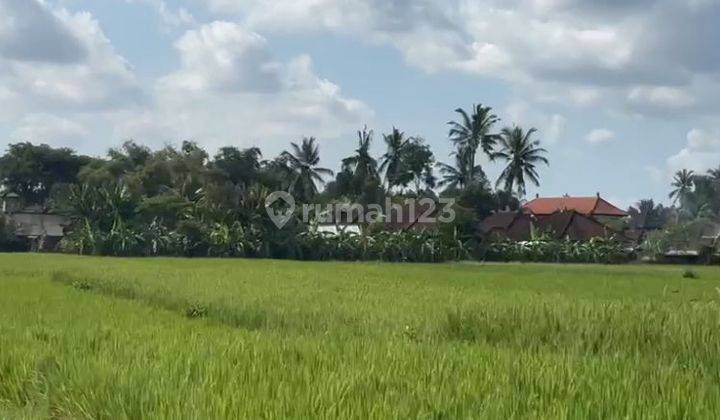 For Sale 26 Are Land On Jl Pantai Kedungu Vv05kdg 1