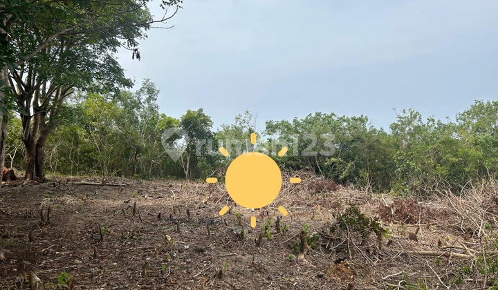 Land 6.8 Are SHM on Jl Blue Ocean Nusa Dua Mnk Land 6.8 Are SHM on Jl Blue Ocean Nusa Dua Mnk