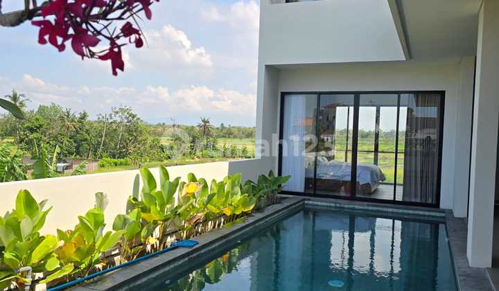 For Rent/Sale 3-Bedroom Villa in Cemagi with Rice Field View