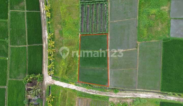 Dijual Tanah 700 M² Dekat Pantai Kelating Pk