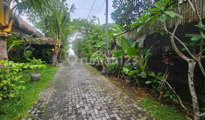 Tanah 3.2 Are SHM di Lingkungan Villa Daerah Dalung Ind+1 Tanah 3.2 Are SHM di Lingkungan Villa Daerah Dalung Ind+1