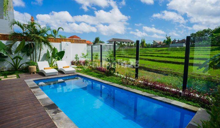 For Rent 2 Bedrooms Villa In Padonan Canggu Azn0018 Azn0023 2