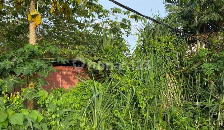 Disewakan Tanah 250 M² Shm Di Area Villa Munggu Gp