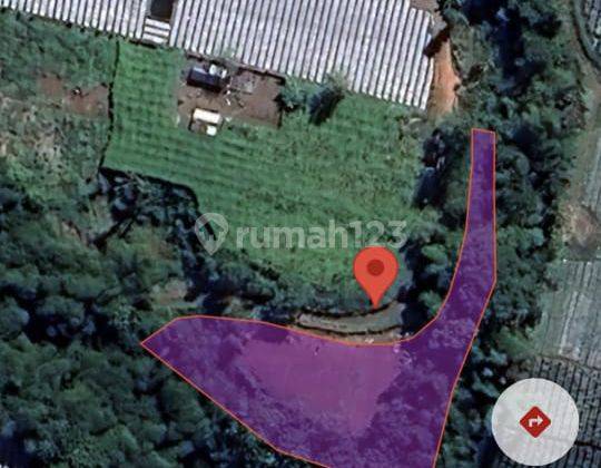 For Sale Quickly Land 13.7 Are Pinggan Kintamani Tourist Area Made 2