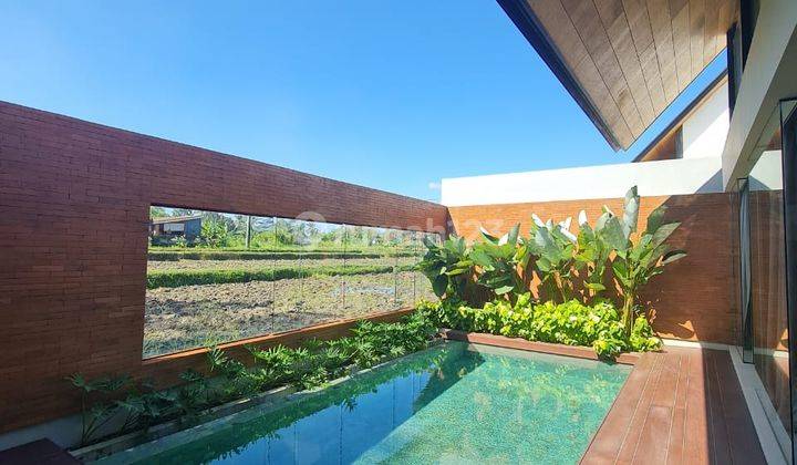 Disewakan Villa Private Pool View Sawah Di Lodtunduh Ubud Alo 1