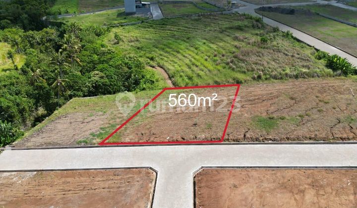 Dijual Cepat Tanah 560.0 M² Di Kedungu Dekat Nuanu Debb