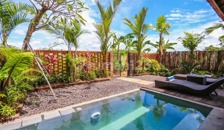 Dijual Tanah 6 Are Bonus Villa Di Canggu Yan
