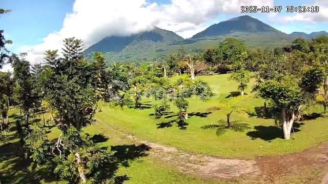 Usaha Bof Luas 231 Are Masih Berjalan Di Baturiti Cn