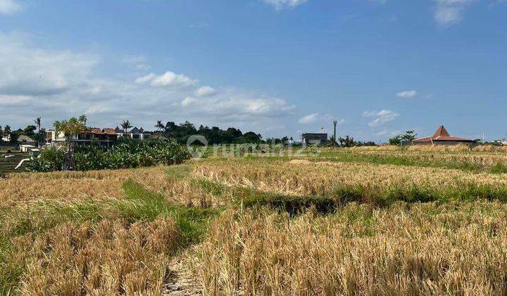 Cheap land for sale in Babakan Canggu AT 1