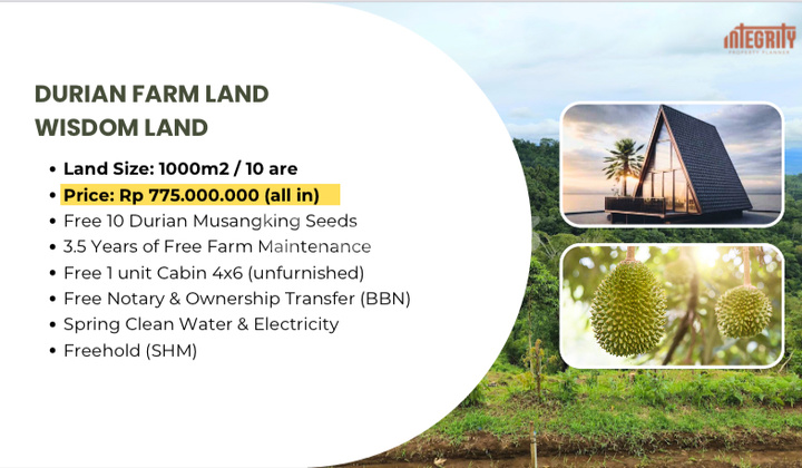 Tanah View Laut Bonus Pohon Durian dan Cabin