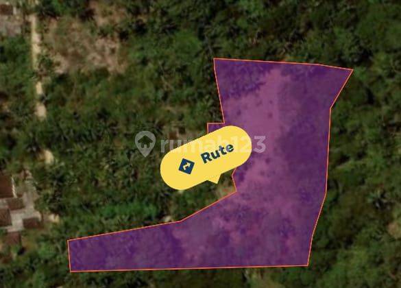 Cheap Land For Sale In Penebel Tabanan DK 1