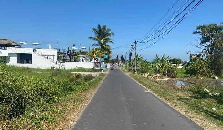 For Sale 50.5 Are Land Near Kedungu Beach Tabanan Angn 1