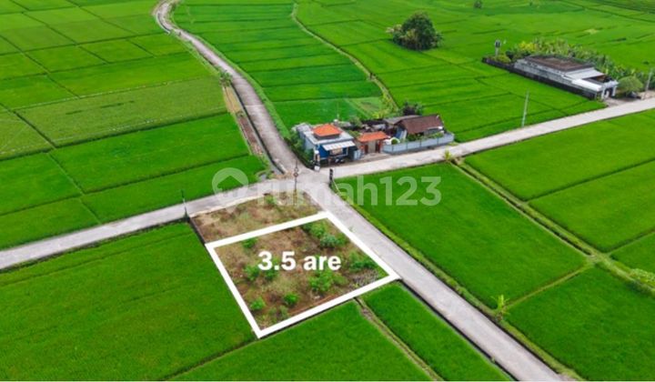 Dijual Tanah View Sawah Dan Dekat Pantai Nyanyi Ls