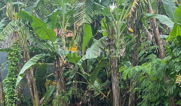 Dijual Tanah Di Lingkungan Villa Kerobokan Gp Dijual Tanah Di Lingkungan Villa Kerobokan Gp