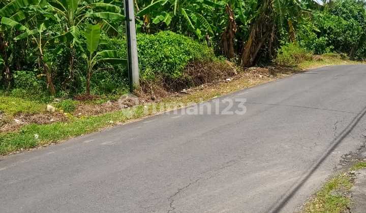 4 Are Land with SHM, Location near Saba Beach Gianyar Ekkwan