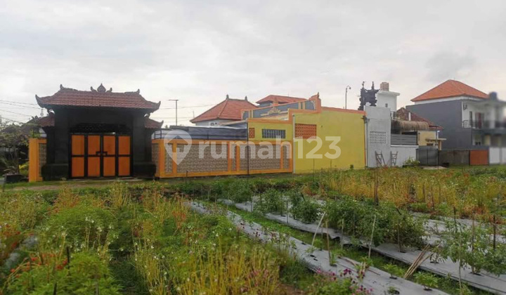 Dijual Rumah Semi Villa View Sawah Dekat Tanah Lot 06