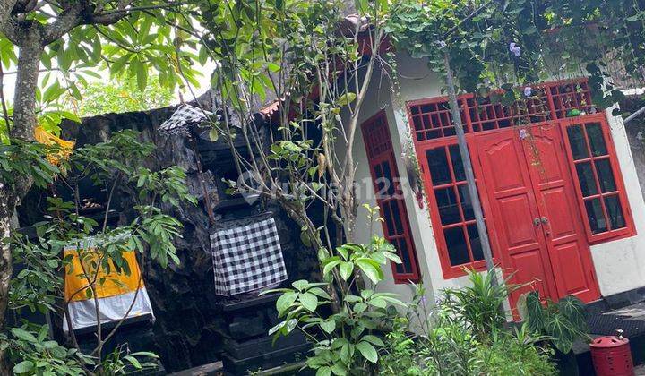 Dijual Rumah Halaman Luas 6 Kamar Di Gatsu Tengah Cn 1