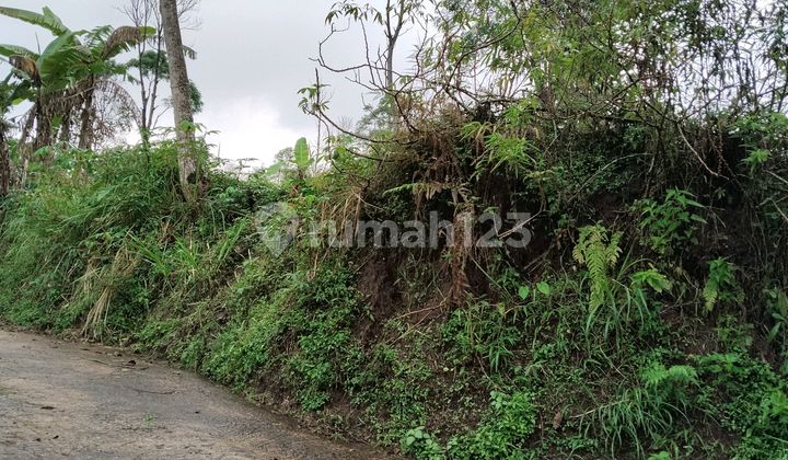 Investasi Tanah Murah Dikopeng Investasi Tanah Murah Dikopeng