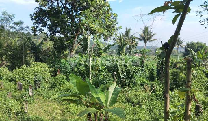 Cocok Lahan Perumahan Subsidi atau Dibuat Tempat Wisata.panti Jompo/ Pesantren. 1