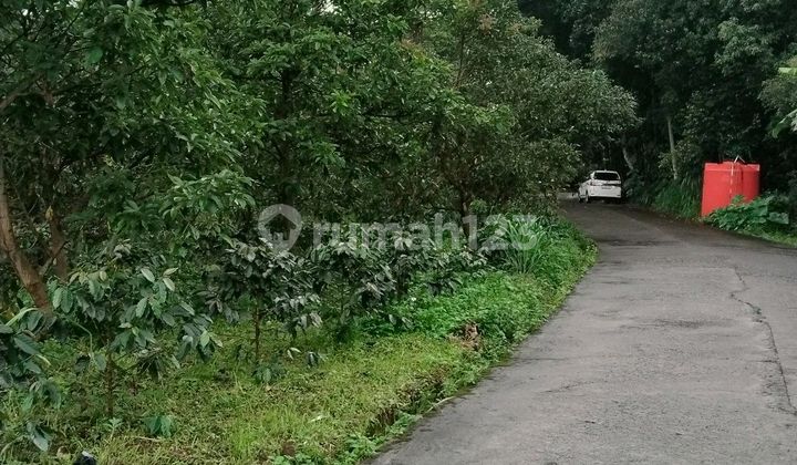 Investasi Tanah Murah Dikopeng Salatiga Investasi Tanah Murah Dikopeng Salatiga