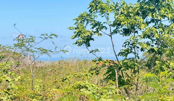 Cheap Ocean View Land For Sale Ungasan Karma Kandara Near Pecatu 2