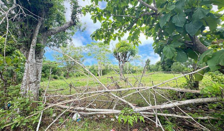 Tanah Dijual Murah Nyang Nyang Beach Jalan Kaki Ke Pantai  2