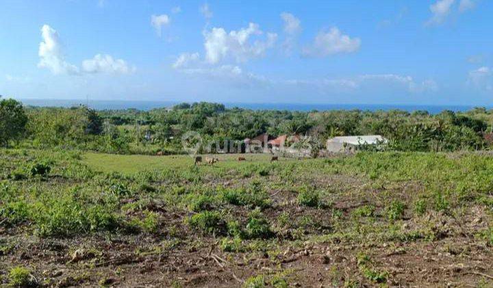 Tanah Murah Dengan Pemandangan Laut Di Pecatu Dekat Savaya Bali 2