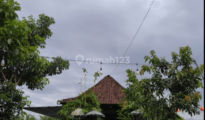 Di Ruang Usaha Cocok Di Jadikan Coffe Shop Atau Tempat Makan 1