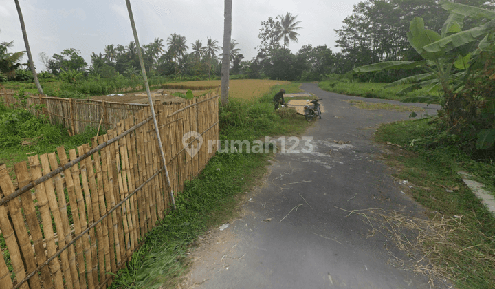 Di Jual Tanah Harga Rendah Cocok Di Bangun Perumahan 2