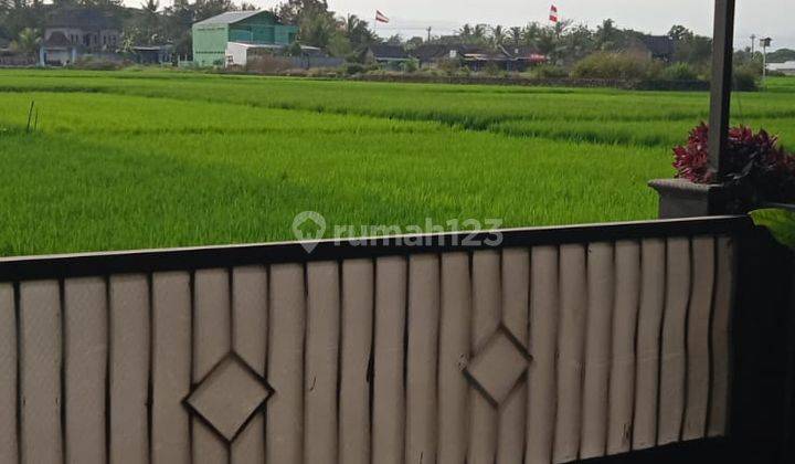 Di Jual Rumah Di Lingkungan Asri Dan Nyaman Harga Rendah 2